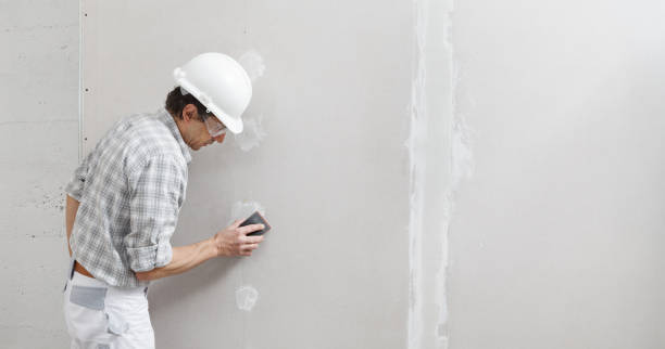 Professional Mold Removal in Norwood Young America, MN