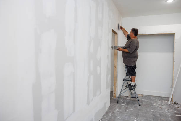 Best Crawl Space Mold Remediation  in Norwood Young America, MN