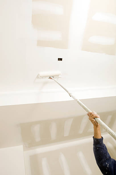 Best Indoor Air Quality Assessment  in Norwood Young America, MN