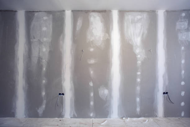 Best Environmental Consulting for Mold Prevention  in Norwood Young America, MN